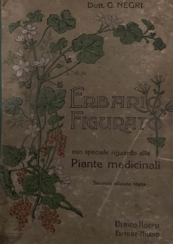 Erbario figurato.